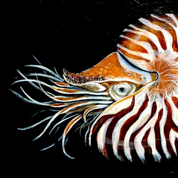 Meet your Posher, Ekoi451 - Picture 1 of 1